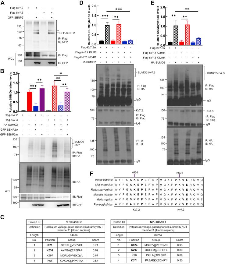 https://cdn.ncbi.nlm.nih.gov/pmc/blobs/a298/8488601/4702cef8635e/gr1.jpg