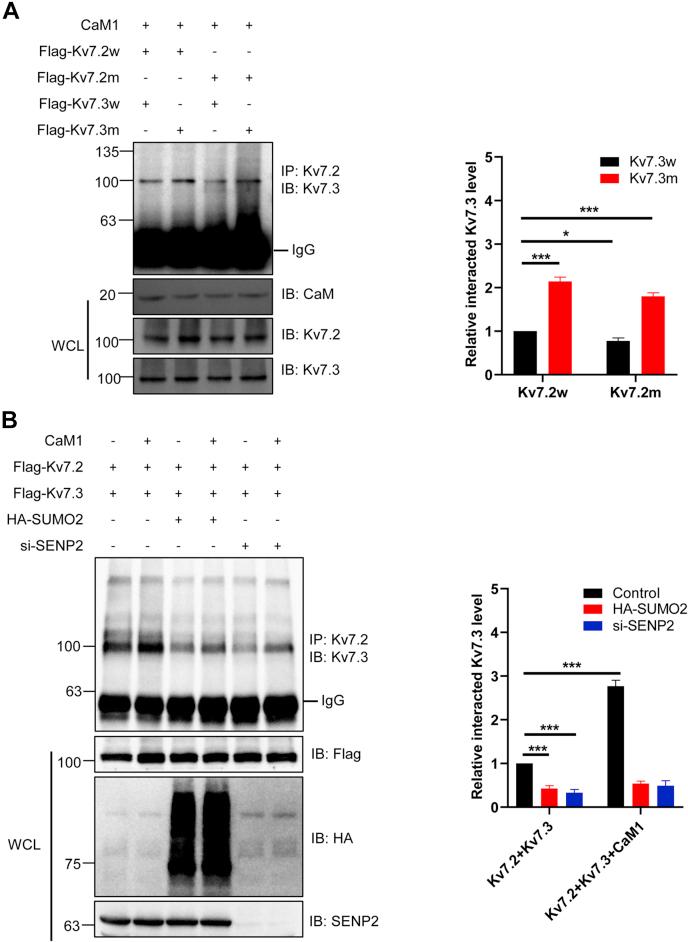 https://cdn.ncbi.nlm.nih.gov/pmc/blobs/a298/8488601/515eac0990e2/gr5.jpg