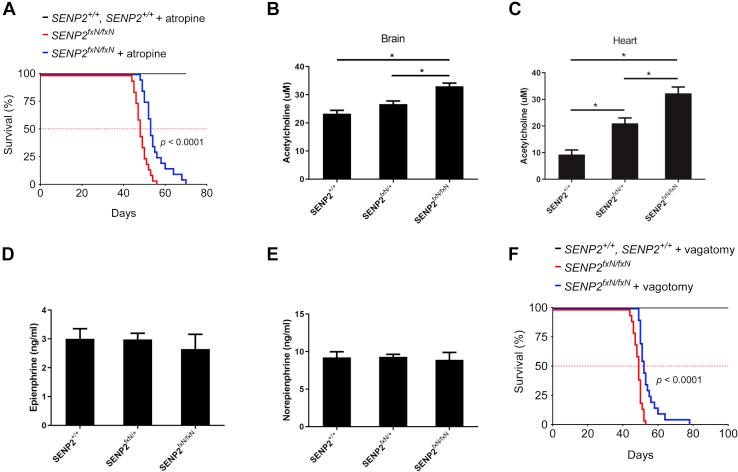 https://cdn.ncbi.nlm.nih.gov/pmc/blobs/a298/8488601/bfbf017dc37e/gr6.jpg