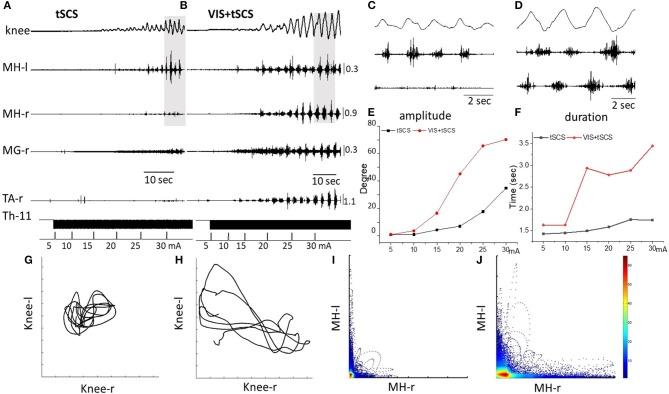 https://cdn.ncbi.nlm.nih.gov/pmc/blobs/a29a/6157483/ebd3fd6f430c/fphys-09-01196-g0002.jpg