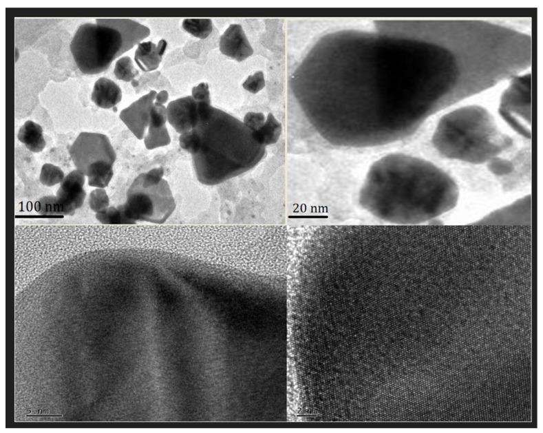 https://cdn.ncbi.nlm.nih.gov/pmc/blobs/a29d/10975919/70f24d8da474/molecules-29-01250-g007.jpg