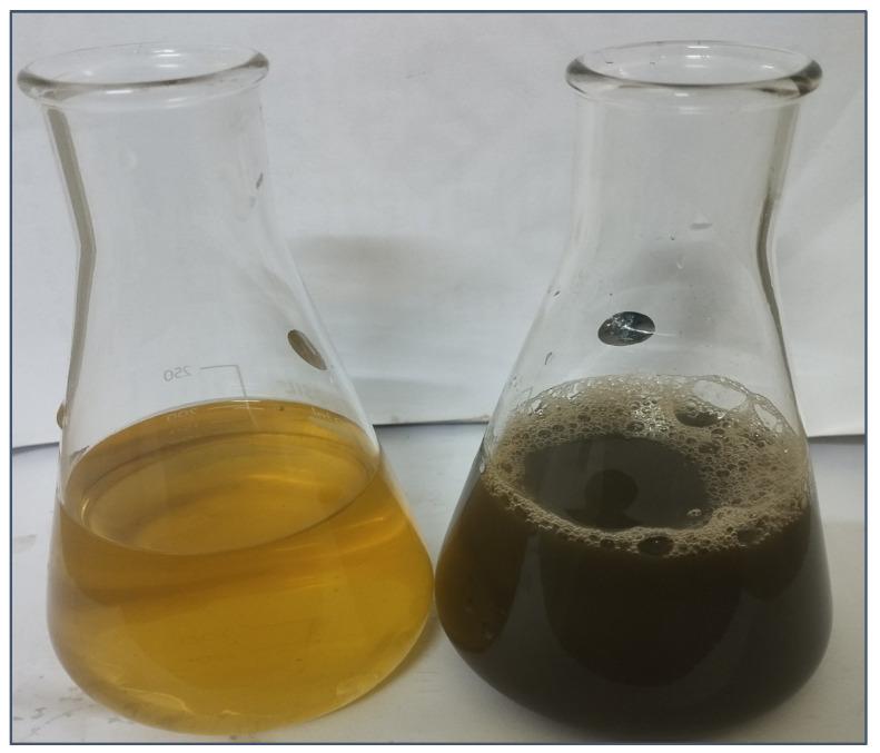 https://cdn.ncbi.nlm.nih.gov/pmc/blobs/a29d/10975919/f99cccbb2b59/molecules-29-01250-g003.jpg