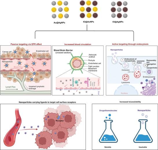 https://cdn.ncbi.nlm.nih.gov/pmc/blobs/a29d/11804848/5774532079ac/ADHM-14-0-g017.jpg