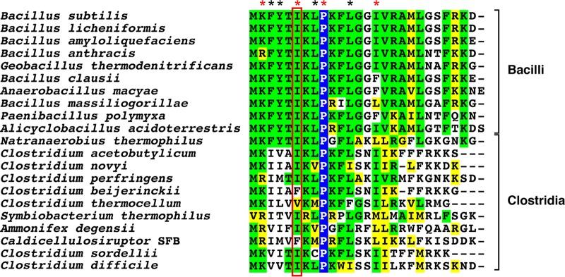 https://cdn.ncbi.nlm.nih.gov/pmc/blobs/a29e/5607322/b5784819f43c/sph0051723640001.jpg