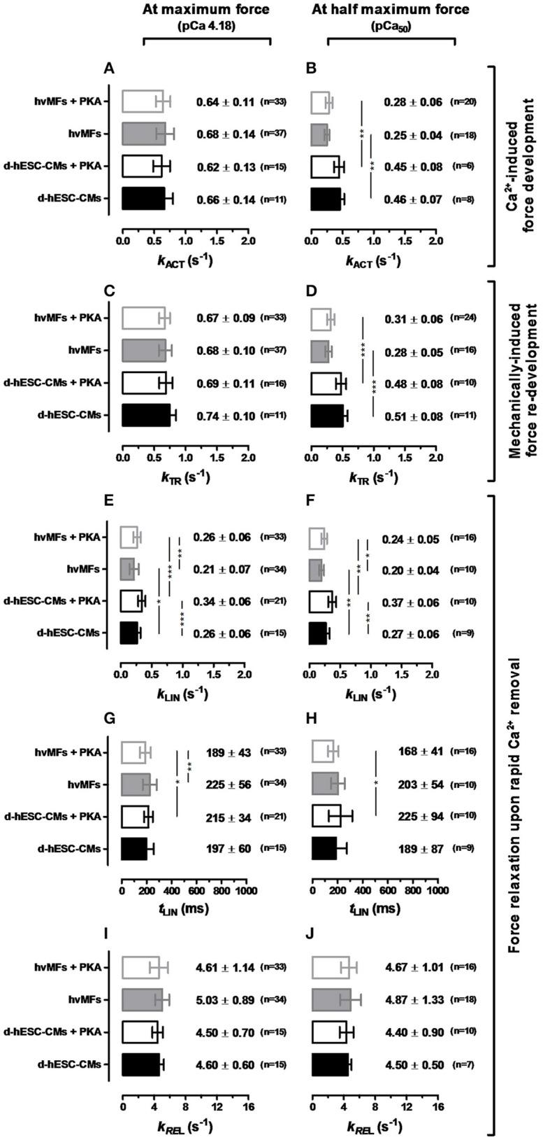 https://cdn.ncbi.nlm.nih.gov/pmc/blobs/a29e/5780405/03d09d74c18f/fphys-08-01111-g0004.jpg