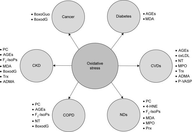 https://cdn.ncbi.nlm.nih.gov/pmc/blobs/a29e/5927356/6df3e20806c0/cia-13-757Fig1.jpg