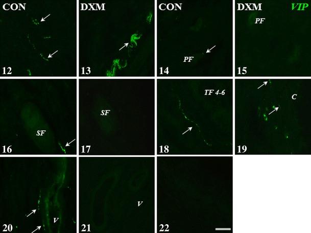 https://cdn.ncbi.nlm.nih.gov/pmc/blobs/a29f/4125811/a77069976a87/12031_2014_239_Fig3_HTML.jpg