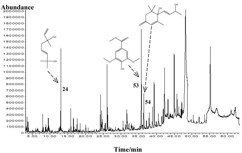 https://cdn.ncbi.nlm.nih.gov/pmc/blobs/a2a0/6257405/4d4e436fcc34/molecules-15-02911-g001.jpg