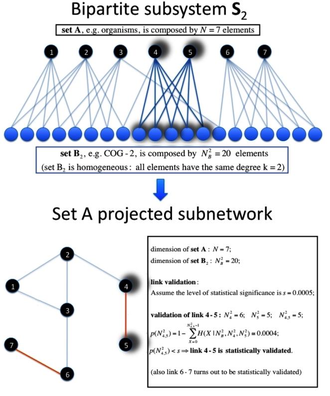 https://cdn.ncbi.nlm.nih.gov/pmc/blobs/a2a3/3069038/03dbb6980c91/pone.0017994.g002.jpg