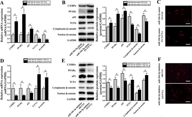 https://cdn.ncbi.nlm.nih.gov/pmc/blobs/a2a3/7563810/4e5955cdeb8b/10.1177_0963689720934418-fig8.jpg