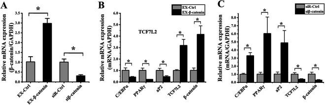 https://cdn.ncbi.nlm.nih.gov/pmc/blobs/a2a3/7563810/88c3cb5e94d0/10.1177_0963689720934418-fig6.jpg