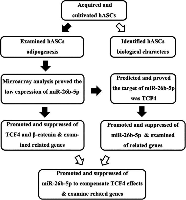 https://cdn.ncbi.nlm.nih.gov/pmc/blobs/a2a3/7563810/b576060e435e/10.1177_0963689720934418-fig1.jpg