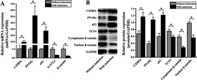 https://cdn.ncbi.nlm.nih.gov/pmc/blobs/a2a3/7563810/c5aa60037e3c/10.1177_0963689720934418-fig2.jpg