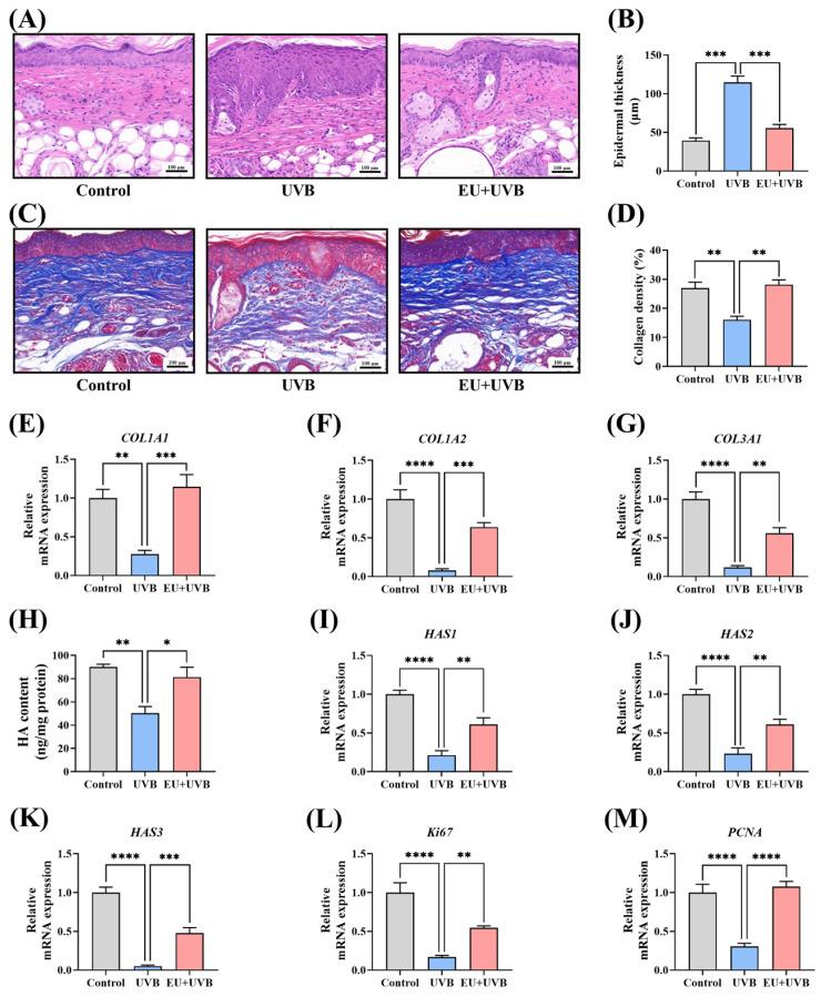 https://cdn.ncbi.nlm.nih.gov/pmc/blobs/a2a5/10886361/bf2fd87c881f/antioxidants-13-00168-g004.jpg