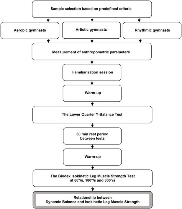 https://cdn.ncbi.nlm.nih.gov/pmc/blobs/a2a7/9868603/c1dbf566143e/fphys-13-1084019-g001.jpg