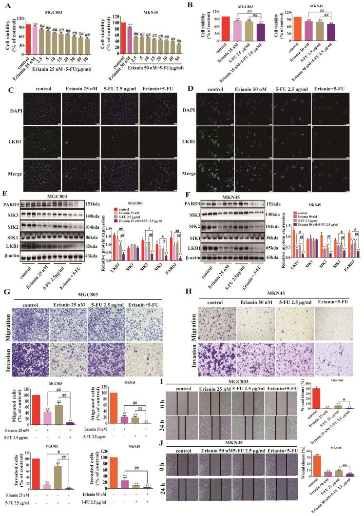 https://cdn.ncbi.nlm.nih.gov/pmc/blobs/a2a8/11277420/945e6c693174/ijms-25-07973-g009.jpg