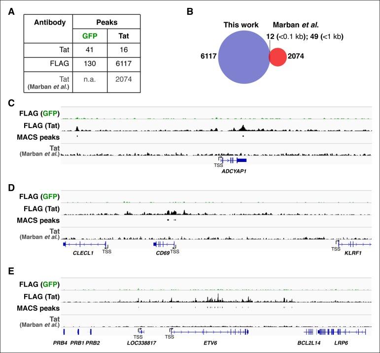 https://cdn.ncbi.nlm.nih.gov/pmc/blobs/a2a8/4733046/4208a491e4e9/elife-08955-fig1-figsupp2.jpg