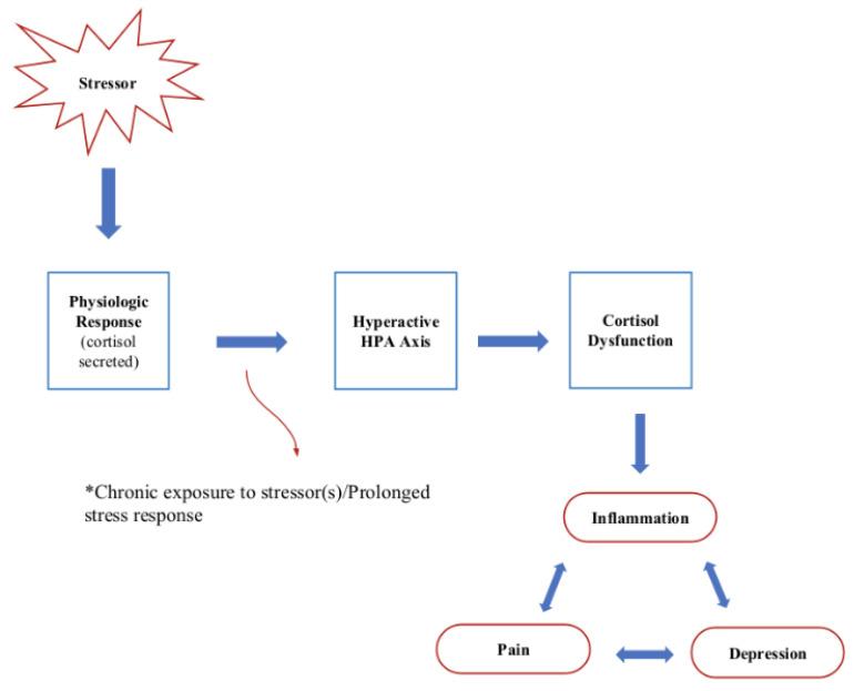https://cdn.ncbi.nlm.nih.gov/pmc/blobs/a2a9/10706127/8d91bb06744e/cells-12-02726-g004.jpg