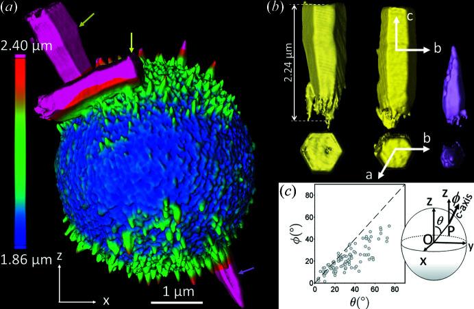 https://cdn.ncbi.nlm.nih.gov/pmc/blobs/a2aa/9438498/16c701ea2ed0/m-09-00580-fig7.jpg