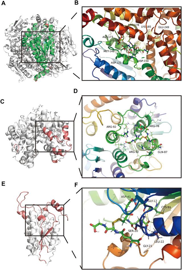 https://cdn.ncbi.nlm.nih.gov/pmc/blobs/a2aa/9523215/656fecdde3ef/fphar-13-1010785-g007.jpg