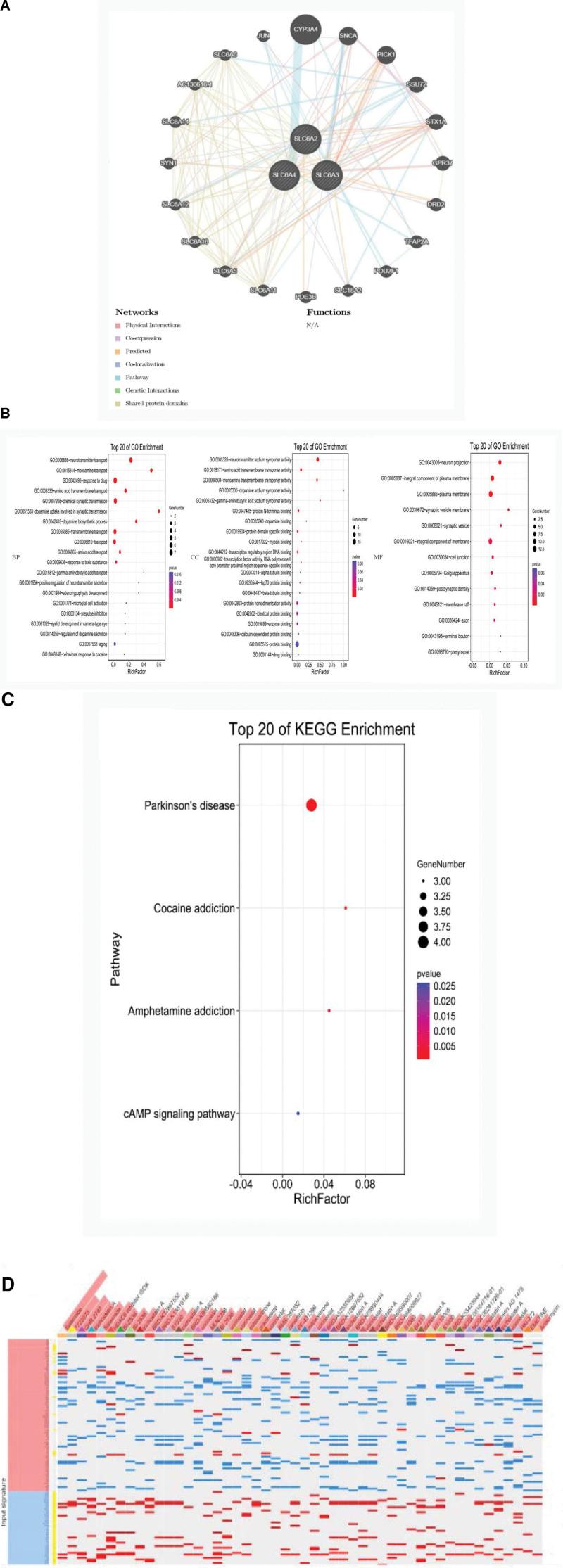 https://cdn.ncbi.nlm.nih.gov/pmc/blobs/a2ab/9592446/496c3a10c0b1/medi-101-e31281-g004.jpg
