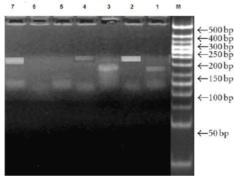 https://cdn.ncbi.nlm.nih.gov/pmc/blobs/a2ac/5980917/12b4f0bd7211/APJCP-19-337-g003.jpg