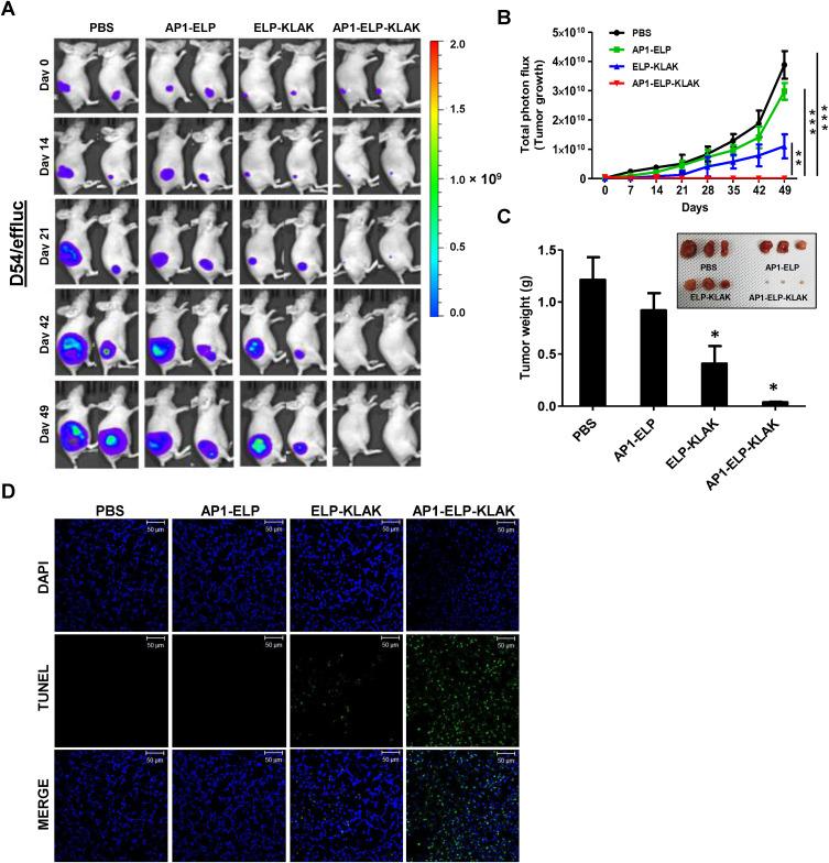 https://cdn.ncbi.nlm.nih.gov/pmc/blobs/a2ac/8318221/8fc4cab86911/IJN-16-5039-g0008.jpg