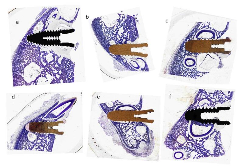 https://cdn.ncbi.nlm.nih.gov/pmc/blobs/a2ac/9182570/15f3c5b815f7/materials-15-04036-g005.jpg