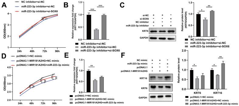 https://cdn.ncbi.nlm.nih.gov/pmc/blobs/a2ad/11210253/56895a4e2551/aging-16-205902-g006.jpg