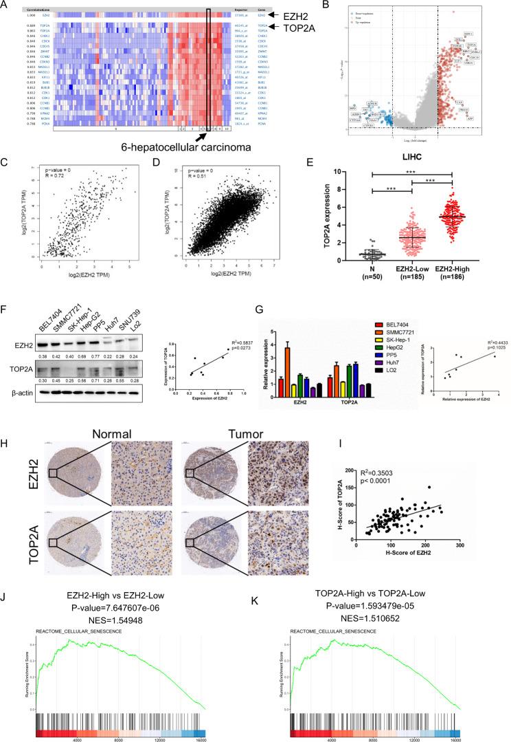 https://cdn.ncbi.nlm.nih.gov/pmc/blobs/a2ae/10680220/2d247a07d17e/13046_2023_2855_Fig1_HTML.jpg
