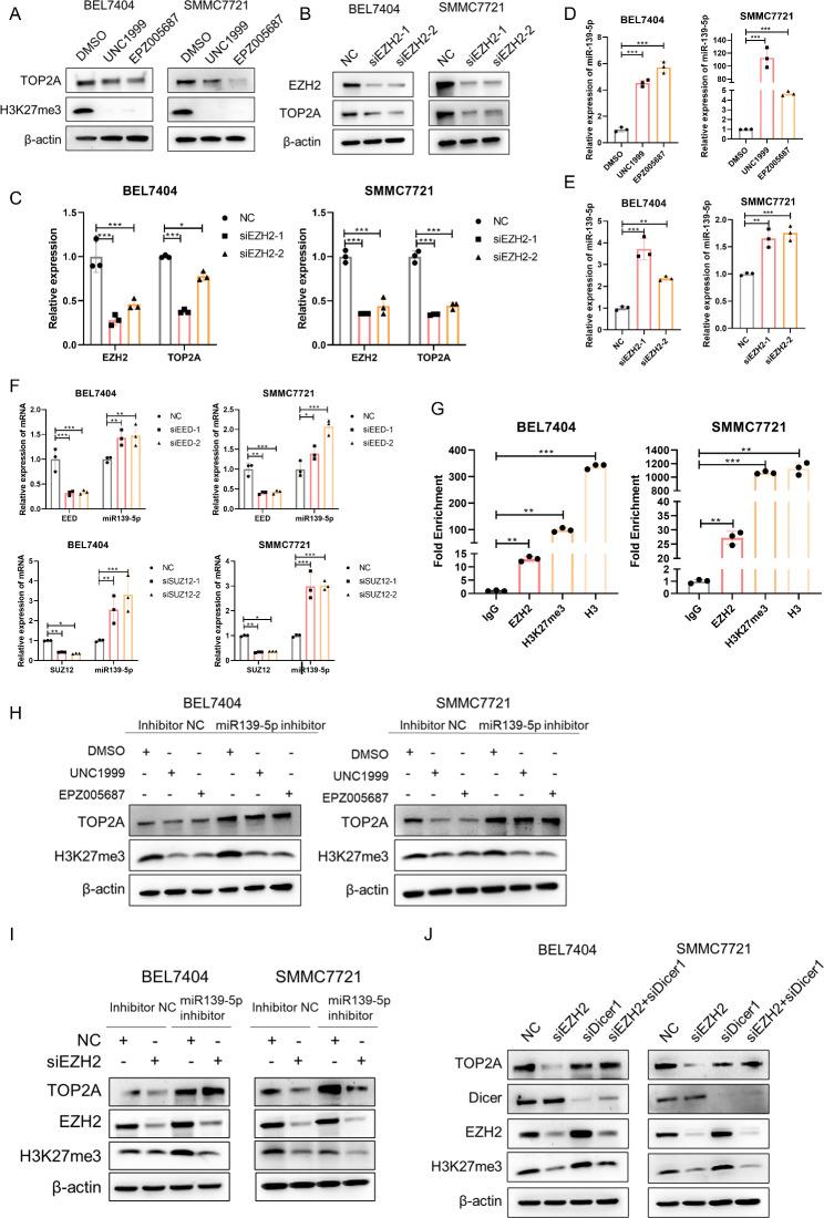 https://cdn.ncbi.nlm.nih.gov/pmc/blobs/a2ae/10680220/a0e0c0a74b33/13046_2023_2855_Fig7_HTML.jpg