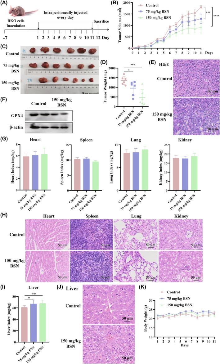 https://cdn.ncbi.nlm.nih.gov/pmc/blobs/a2ae/12431579/7857c4718c7b/AME2-8-1155-g005.jpg