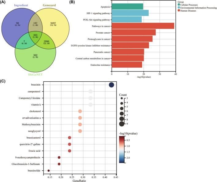 https://cdn.ncbi.nlm.nih.gov/pmc/blobs/a2ae/12431579/d05752d697f3/AME2-8-1155-g002.jpg