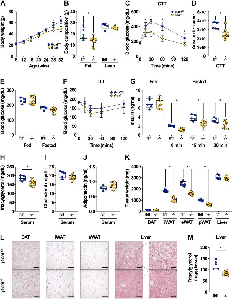 https://cdn.ncbi.nlm.nih.gov/pmc/blobs/a2b0/7554252/3dc69af85a41/gr6.jpg