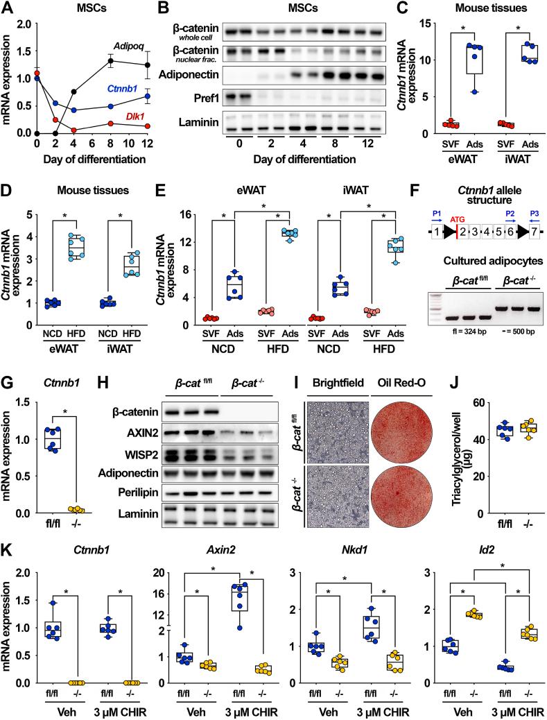 https://cdn.ncbi.nlm.nih.gov/pmc/blobs/a2b0/7554252/d06c734e5714/gr1.jpg