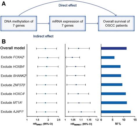https://cdn.ncbi.nlm.nih.gov/pmc/blobs/a2b2/5571486/1443d3154093/13148_2017_392_Fig6_HTML.jpg