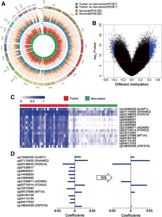 https://cdn.ncbi.nlm.nih.gov/pmc/blobs/a2b2/5571486/39a1acfaf9d4/13148_2017_392_Fig2_HTML.jpg