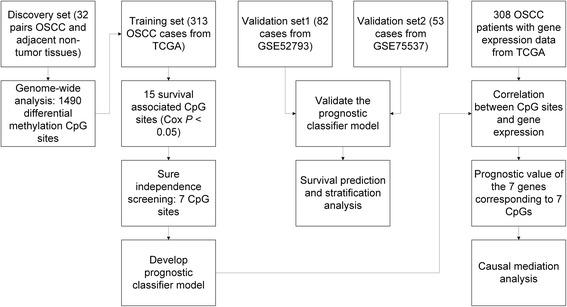 https://cdn.ncbi.nlm.nih.gov/pmc/blobs/a2b2/5571486/50bd1356193c/13148_2017_392_Fig1_HTML.jpg