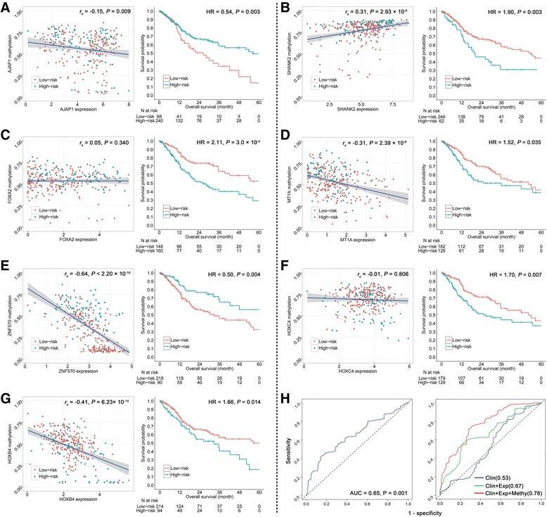 https://cdn.ncbi.nlm.nih.gov/pmc/blobs/a2b2/5571486/fe5ae17f42dd/13148_2017_392_Fig5_HTML.jpg