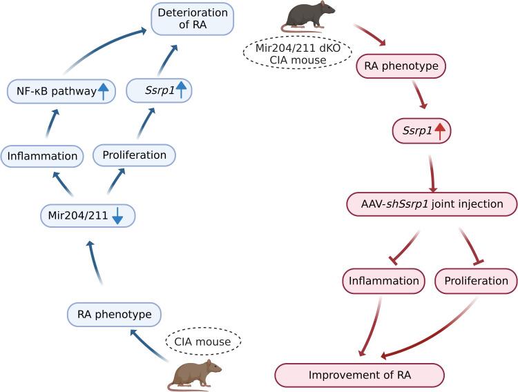 https://cdn.ncbi.nlm.nih.gov/pmc/blobs/a2b2/9747153/abb54a49615d/elife-78085-fig10.jpg