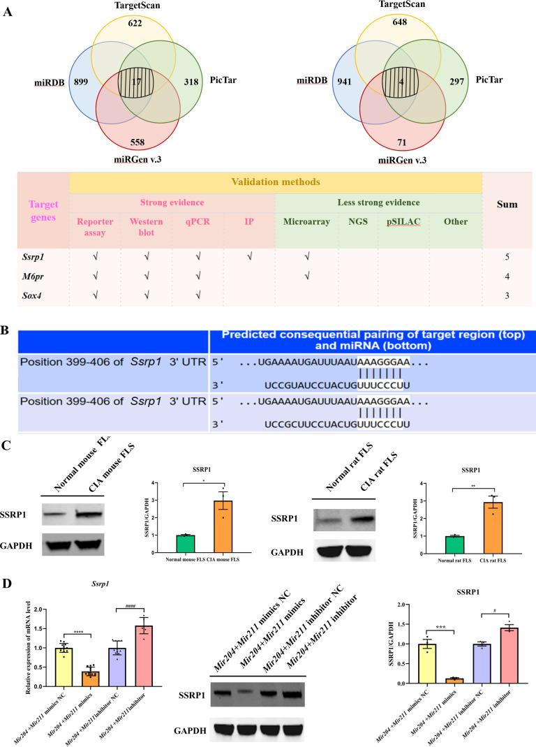 https://cdn.ncbi.nlm.nih.gov/pmc/blobs/a2b2/9747153/c9d2736cfc02/elife-78085-fig6.jpg