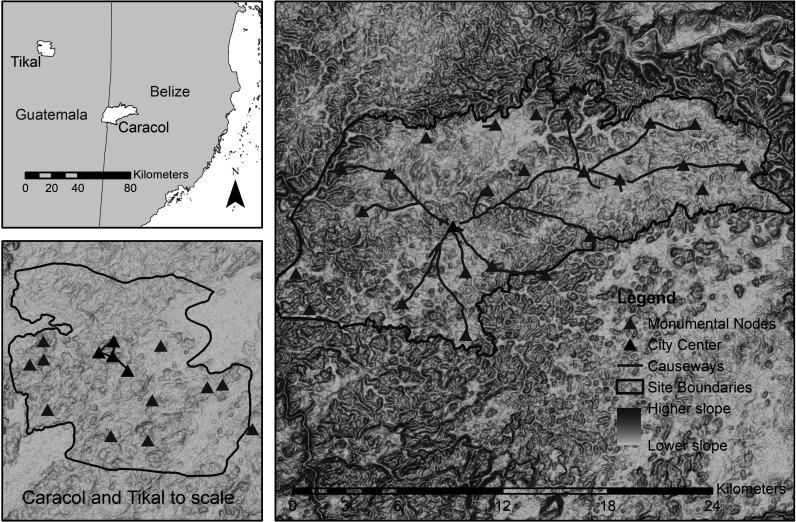 https://cdn.ncbi.nlm.nih.gov/pmc/blobs/a2b6/10400939/da7923324004/pnas.2211558120fig03.jpg