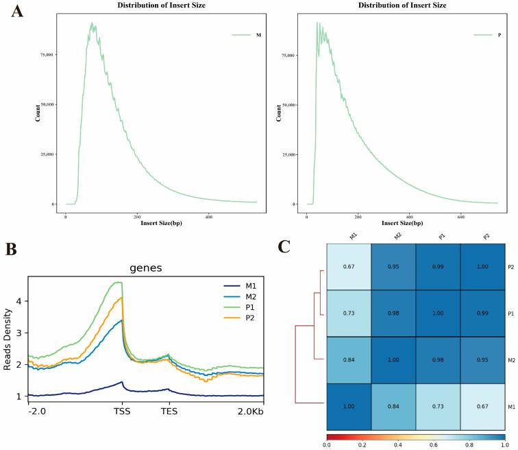 https://cdn.ncbi.nlm.nih.gov/pmc/blobs/a2b6/11172533/074d1fda4234/ijms-25-06029-g001.jpg