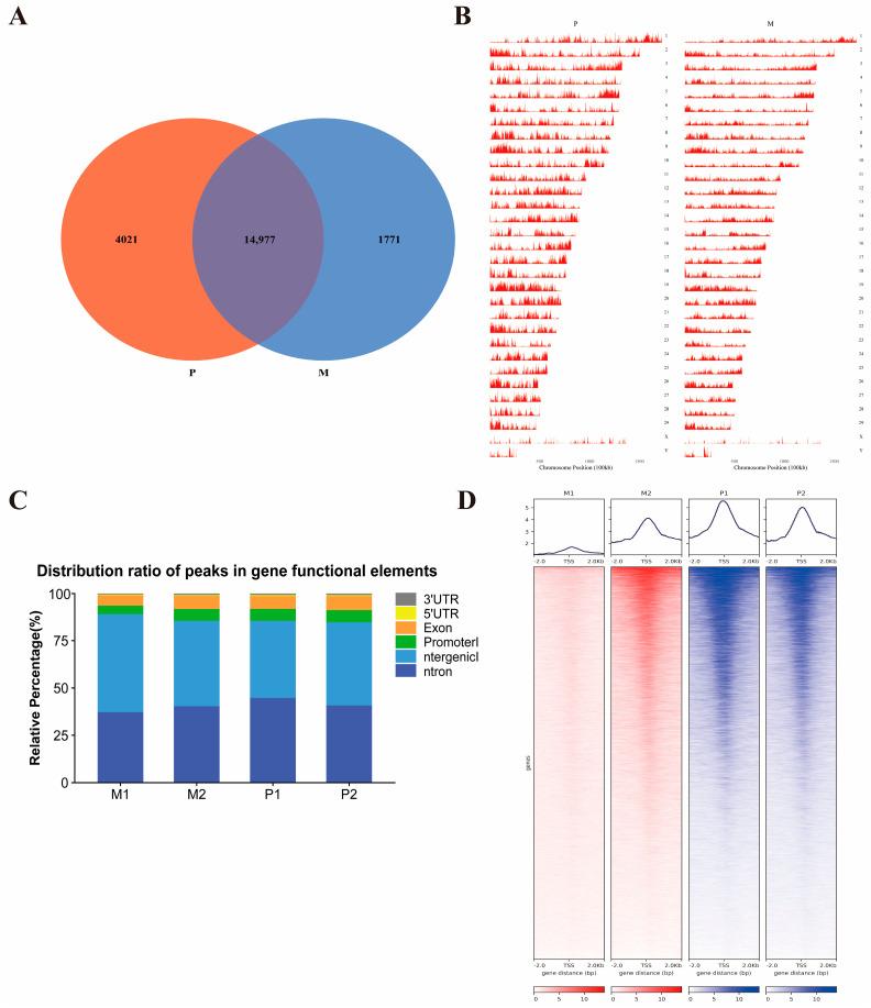 https://cdn.ncbi.nlm.nih.gov/pmc/blobs/a2b6/11172533/ed1fe3ec902d/ijms-25-06029-g002.jpg