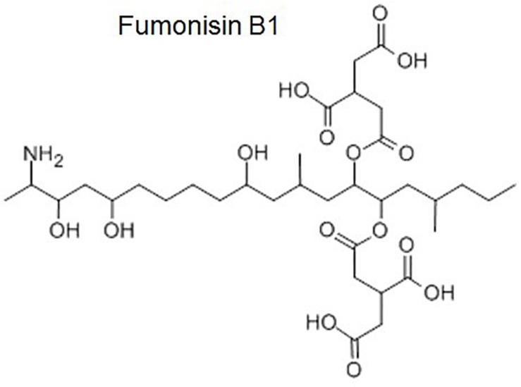 https://cdn.ncbi.nlm.nih.gov/pmc/blobs/a2b7/6798329/f42fcf81a60f/fmicb-10-02347-g003.jpg