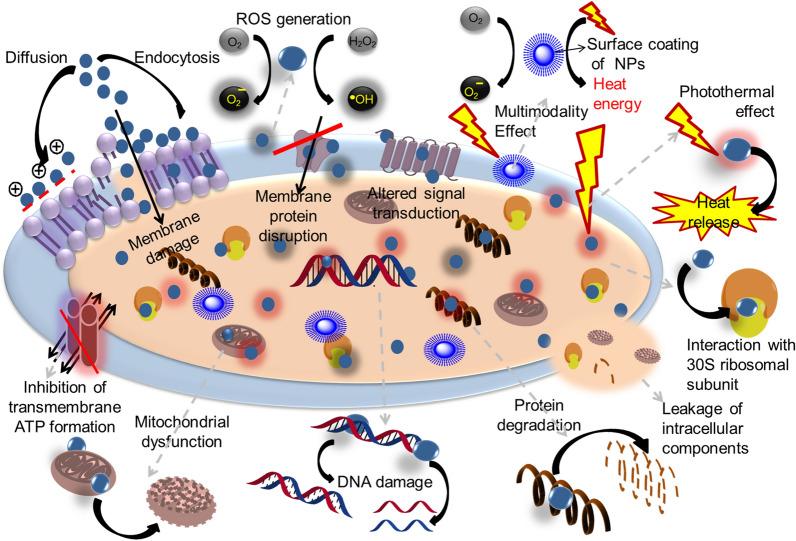 https://cdn.ncbi.nlm.nih.gov/pmc/blobs/a2b7/9373336/cf24214d4407/12951_2022_1573_Fig4_HTML.jpg