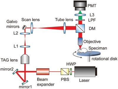https://cdn.ncbi.nlm.nih.gov/pmc/blobs/a2b8/11892496/ce7b27e62e79/ADVS-11-2405293-g002.jpg