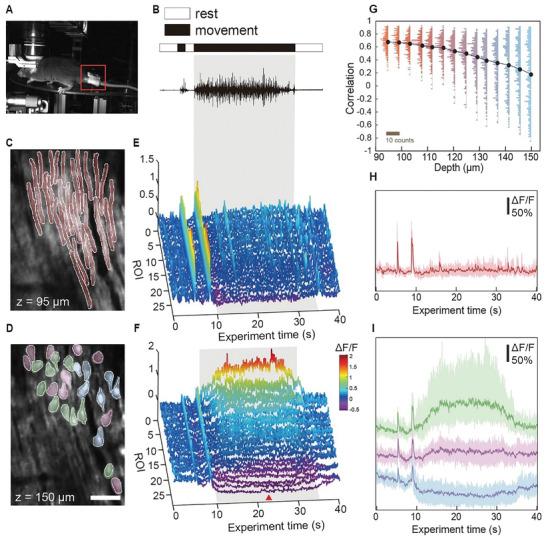 https://cdn.ncbi.nlm.nih.gov/pmc/blobs/a2b8/11892496/eb8f52480f95/ADVS-11-2405293-g001.jpg