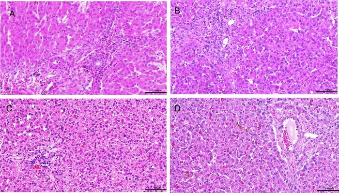 https://cdn.ncbi.nlm.nih.gov/pmc/blobs/a2b9/6481840/d3c599b1ec2e/pone.0215619.g005.jpg
