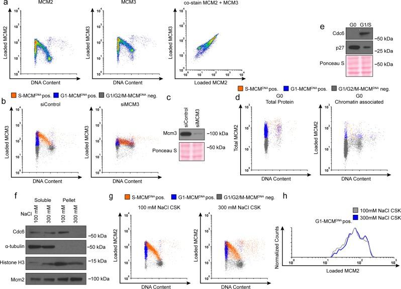 https://cdn.ncbi.nlm.nih.gov/pmc/blobs/a2ba/5720591/877c1fc40591/elife-30473-fig1-figsupp2.jpg